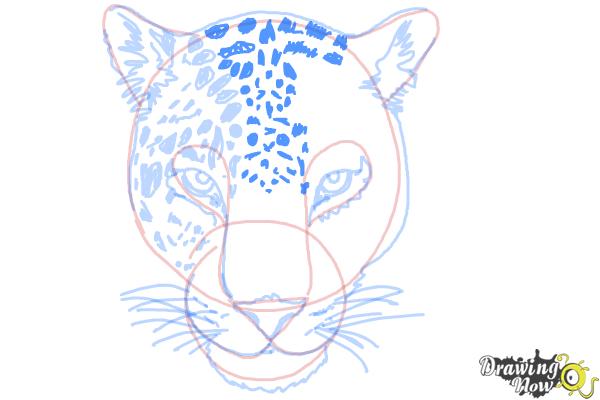 How to Draw a Cheetah Face - Step 13