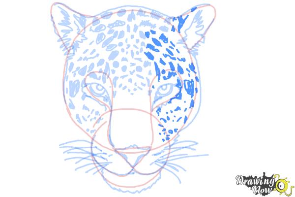 How to Draw a Cheetah Face - Step 14