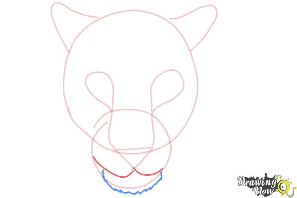 How to Draw a Cheetah Face - Step 5