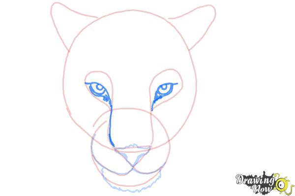 How to Draw a Cheetah Face - Step 7