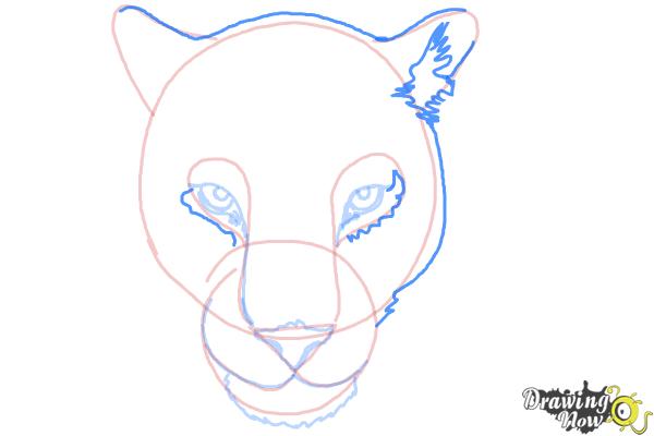 How to Draw a Cheetah Face - Step 8