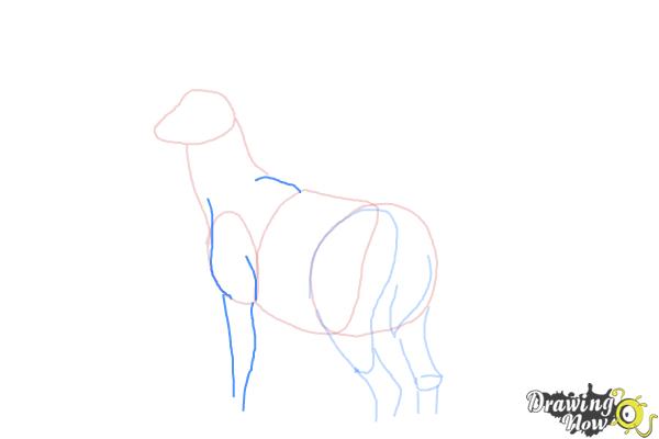 How to Draw a Buck - Step 5
