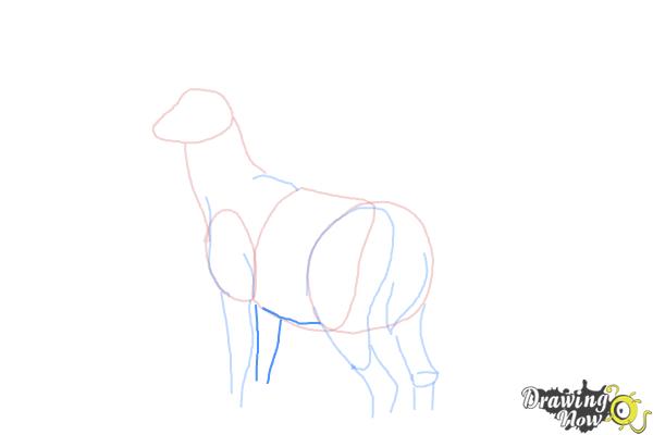 How to Draw a Buck - Step 6