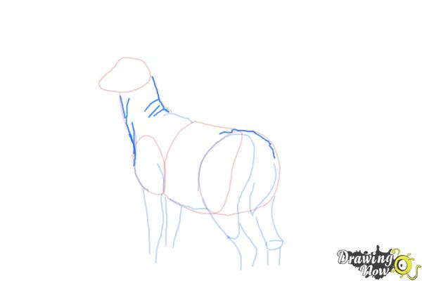 How to Draw a Buck - Step 7