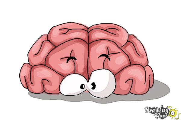 Share 75+ simple brain drawing latest