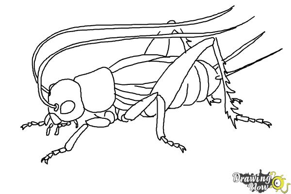 Coloring Page