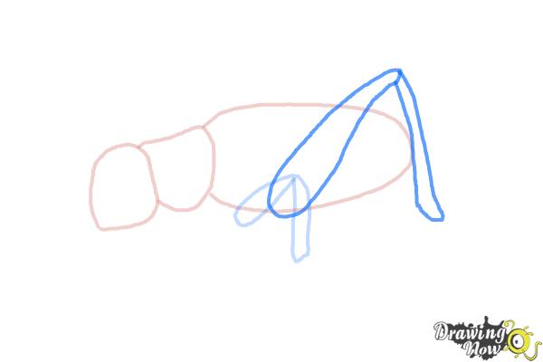 How to Draw a Cricket - Step 5