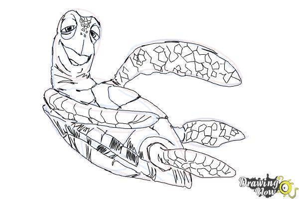 How to Draw Crush from Finding Nemo - Step 11 How to Draw Crush from Finding Nemo - Step 11