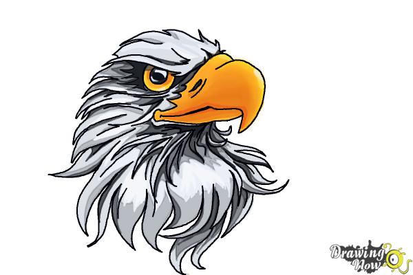 How to Draw an Eagle Head - Step 10