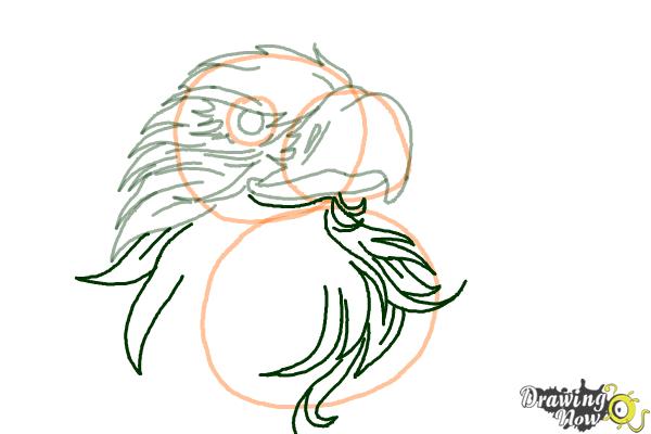 How to Draw an Eagle Head - Step 7