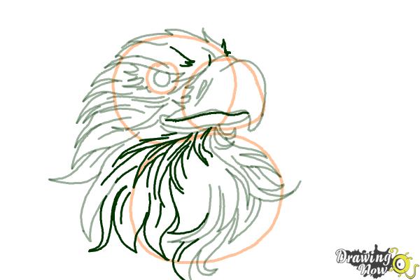 How to Draw an Eagle Head - Step 8