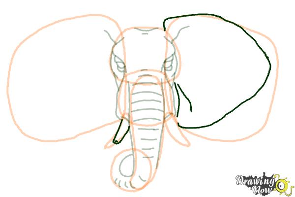 How to Draw an Elephant Face - Step 10