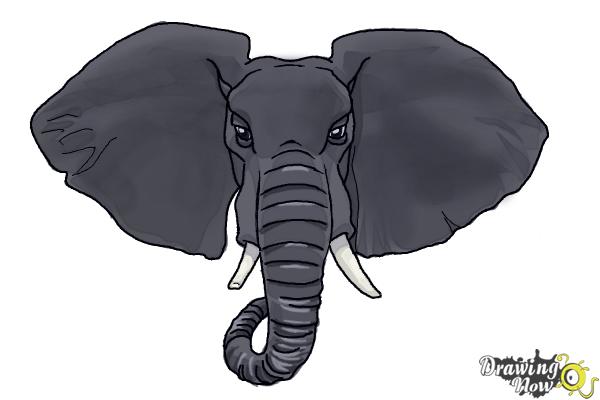 How to Draw an Elephant Face - Step 13