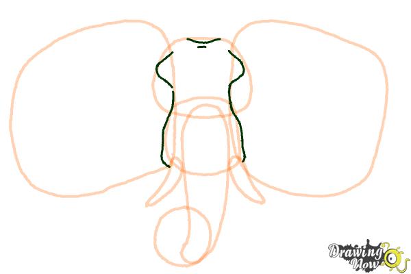 How to Draw an Elephant Face - Step 6