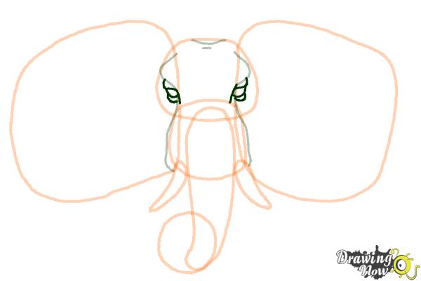 How to Draw an Elephant Face - Step 7