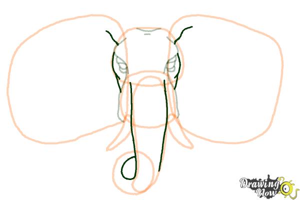 How to Draw an Elephant Face - Step 8