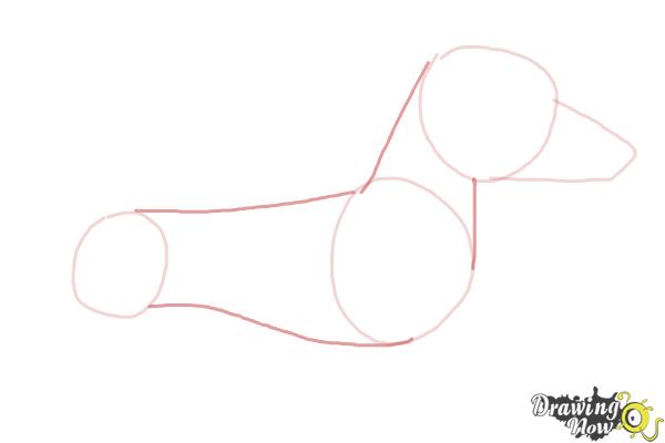 How to Draw a Dachshund - Step 3 How to Draw a Dachshund - Step 3
