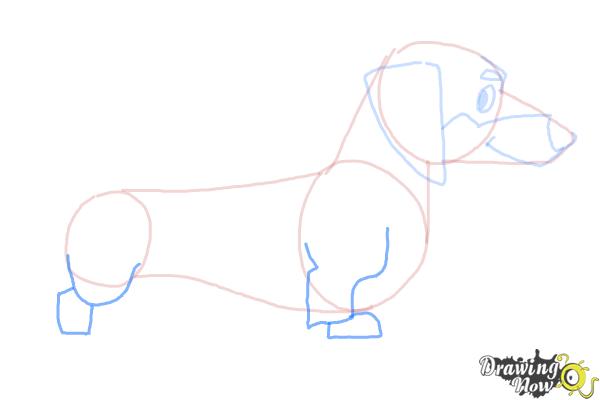 How to Draw a Dachshund - Step 6 How to Draw a Dachshund - Step 6