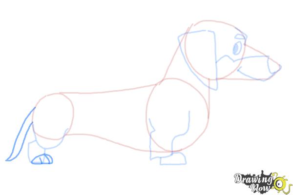 How to Draw a Dachshund - Step 7 How to Draw a Dachshund - Step 7
