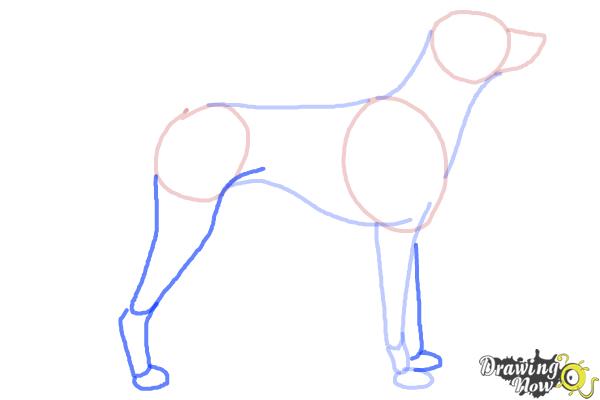 How to Draw a Dalmatian - Step 5