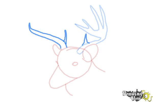 How to Draw a Deer Head - Step 5