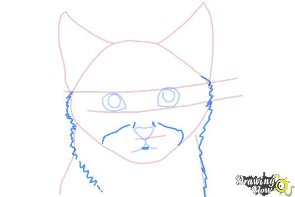 How to Draw a Realistic Kitten - Step 5 How to Draw a Realistic Kitten - Step 5