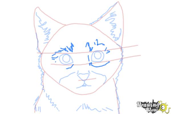 How to Draw a Realistic Kitten - Step 7