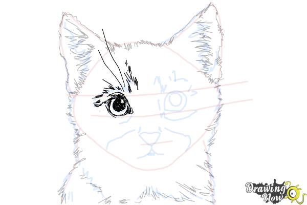 How to Draw a Realistic Kitten - Step 9