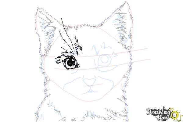 How to Draw a Realistic Kitten - Step 9 How to Draw a Realistic Kitten - Step 9