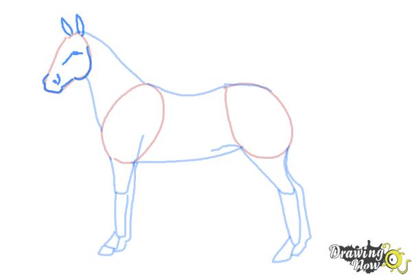 How to Draw an Easy Horse - Step 5