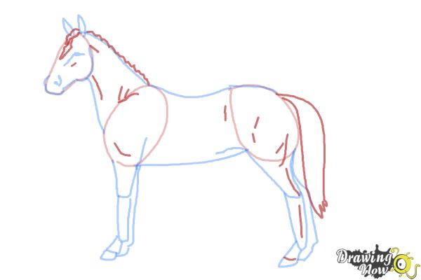 How to Draw an Easy Horse - DrawingNow