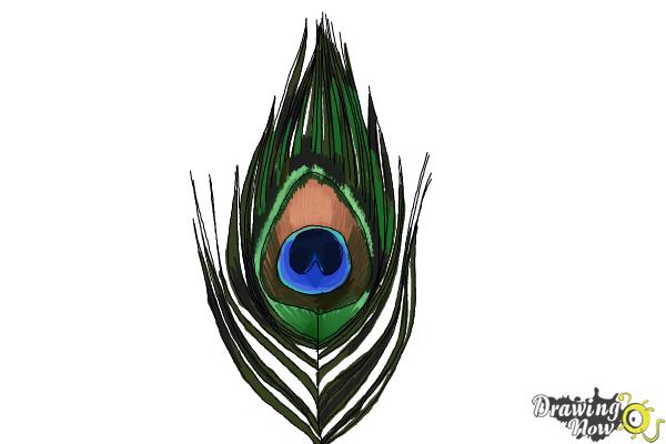 Green watercolor peacock feather illustration | Free Photo Illustration -  rawpixel