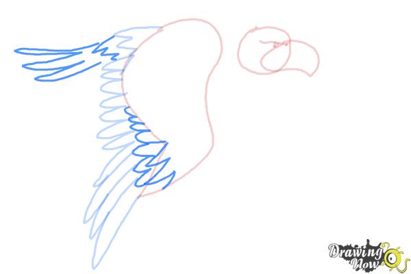 How to Draw a Cartoon Eagle - Step 5