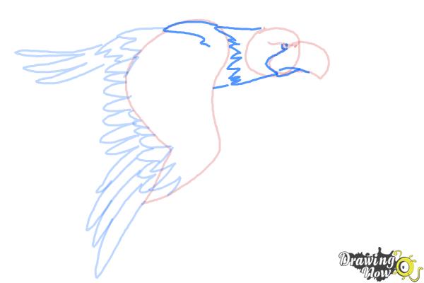 How to Draw a Cartoon Eagle - Step 6