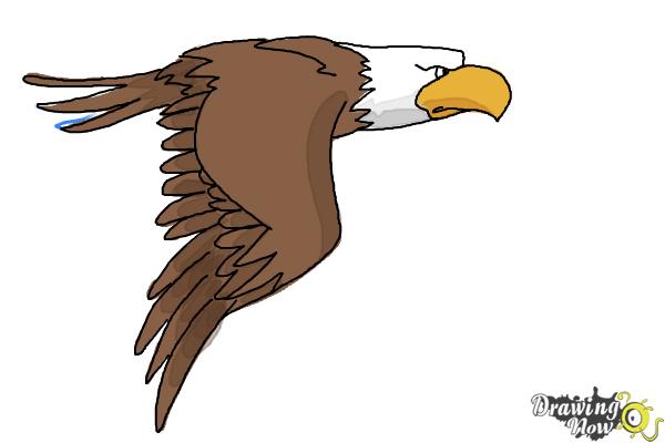 How to Draw a Cartoon Eagle - Step 8