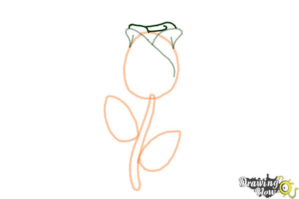 How to Draw a Rose Easy - Step 4 How to Draw a Rose Easy - Step 4