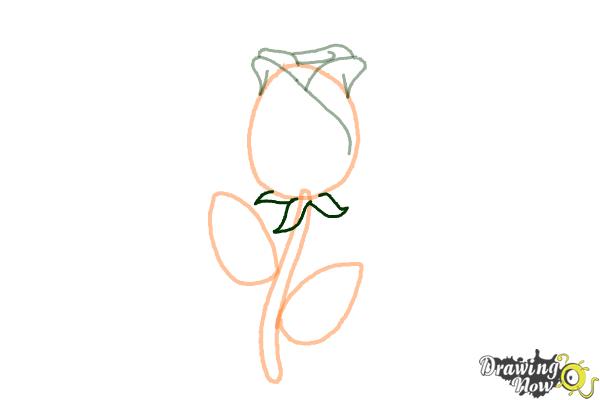 How to Draw a Rose Easy - Step 5 How to Draw a Rose Easy - Step 5