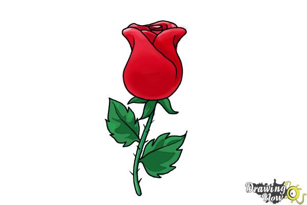 How to Draw a Rose Easy - Step 8