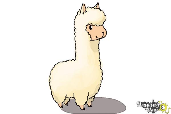 How to Draw a Llama For Kids - Step 7