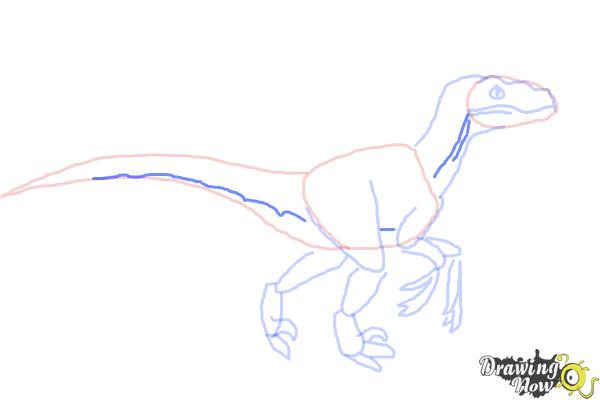 How to Draw a Velociraptor - Step 7