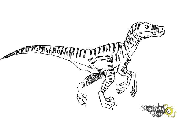 Coloring Page