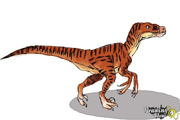 How to Draw a Velociraptor - Step 9