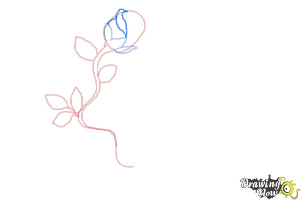 How to Draw a Rose With a Heart - Step 5