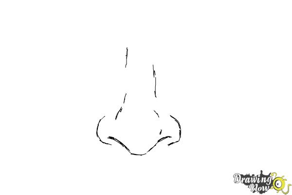 How to Draw a Nose With Easy Steps | Skip To My Lou