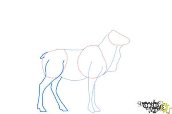 How to Draw an Elk - Step 5