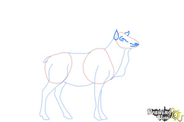 How to Draw an Elk - Step 6