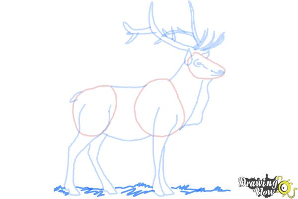 How to Draw an Elk - Step 9