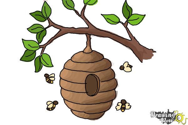 How to Draw a Beehive - Step 10