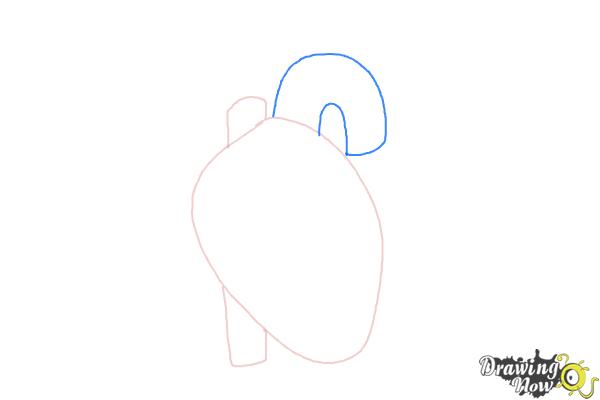 How to Draw a Human Heart - Step 3