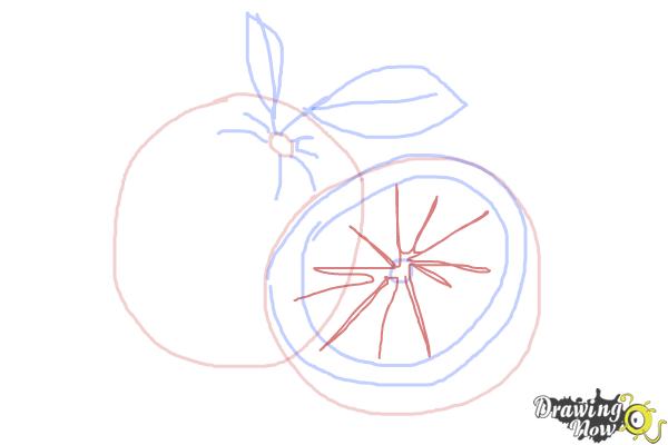 How to Draw an Orange - Step 6
